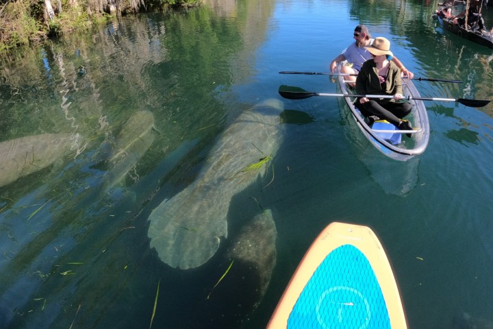 a man riding on the back of a boat in a body of water