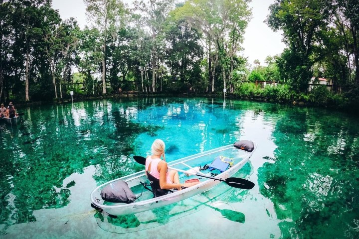 a group of people swimming in a pool of water