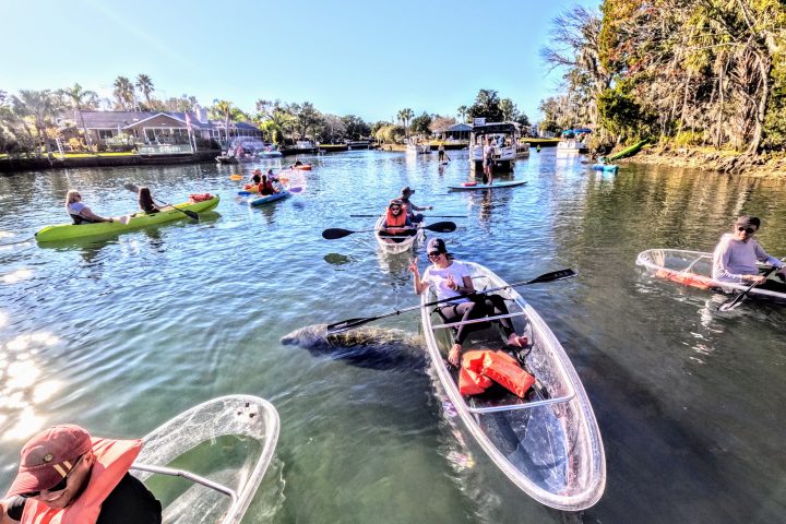 Clear Kayaking Tours of Crystal River, Florida