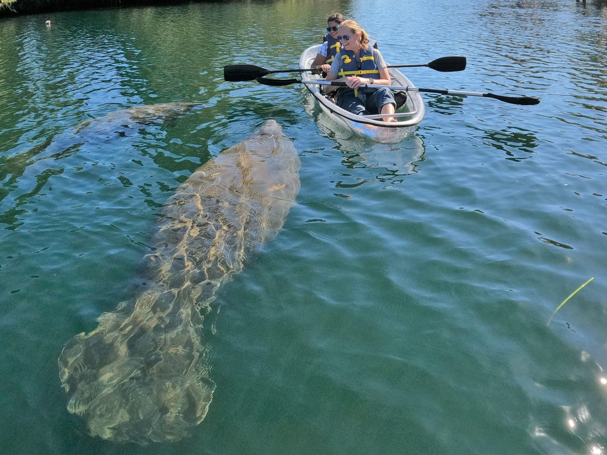 a small boat in a body of water