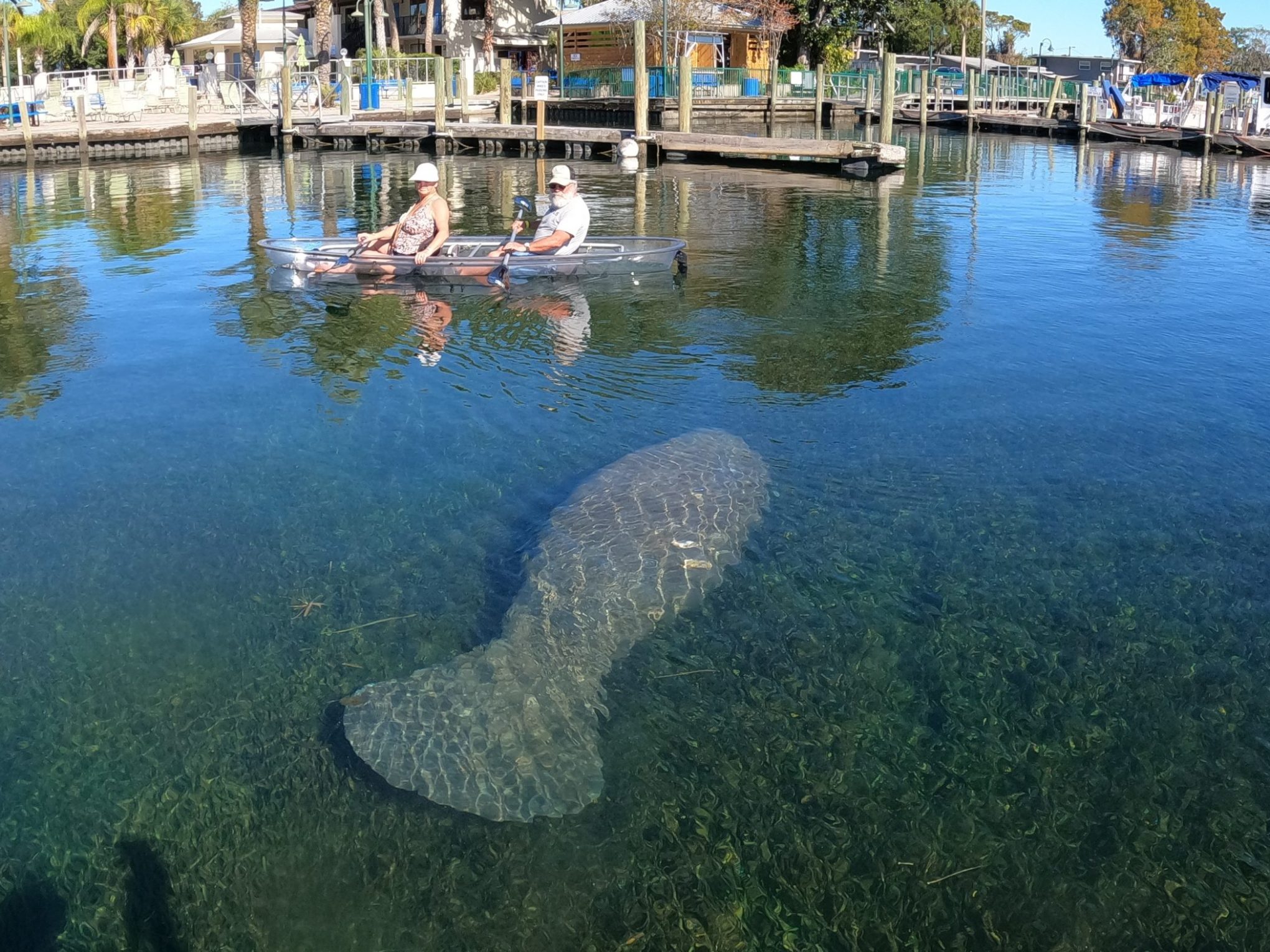 a boat is docked next to a body of water