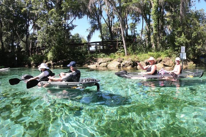 Clear Kayaking Tours of Crystal River, Florida