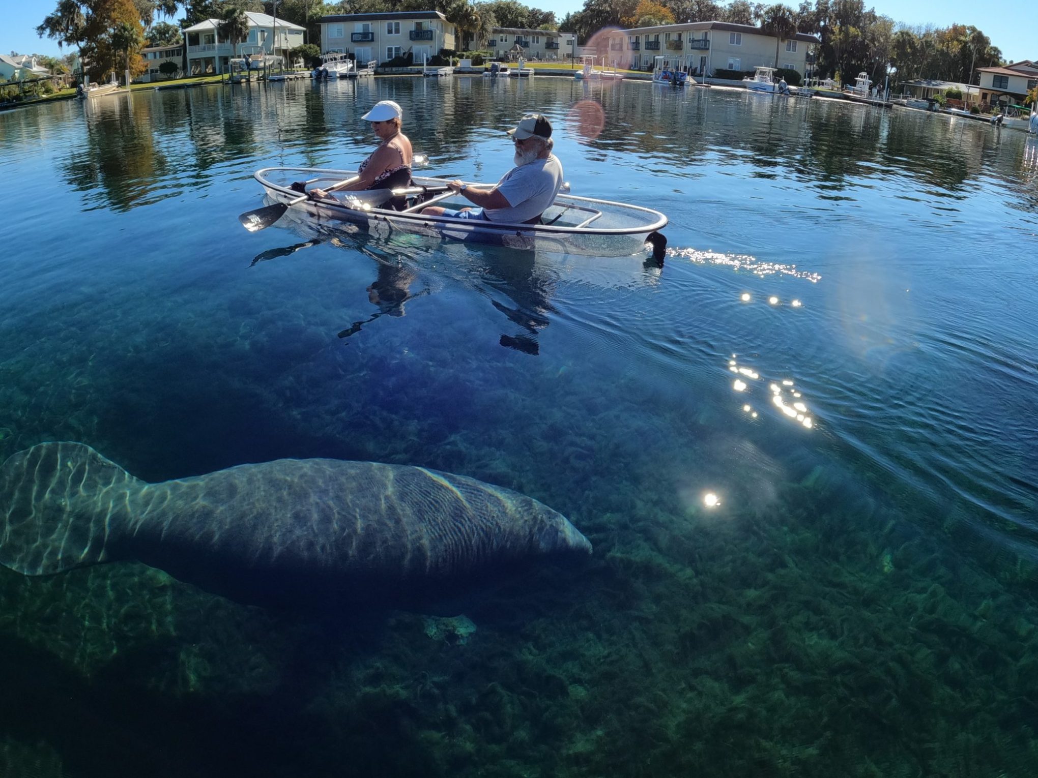 Clear kayak toun in Crystal River, Florida