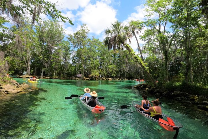 Clear Kayaking Tours of Crystal River, Florida