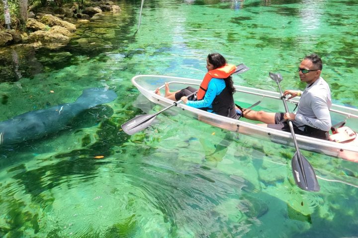Clear Kayaking Tours of Crystal River, Florida