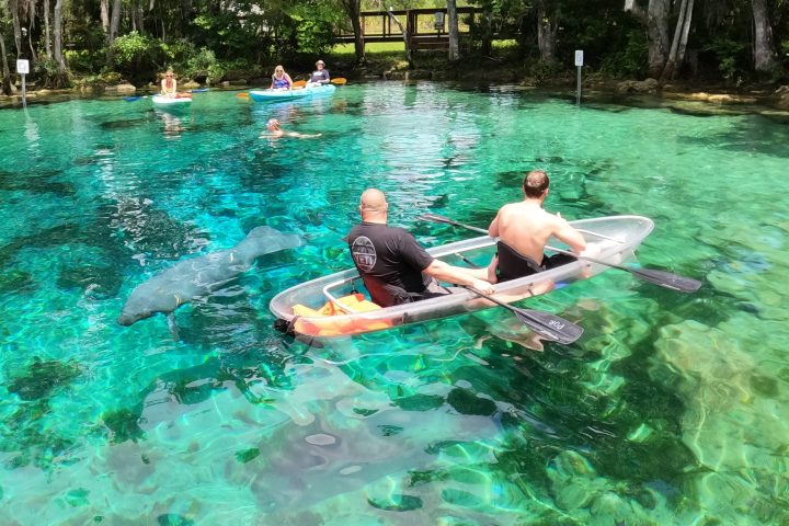 Clear Kayaking Tours of Crystal River, Florida