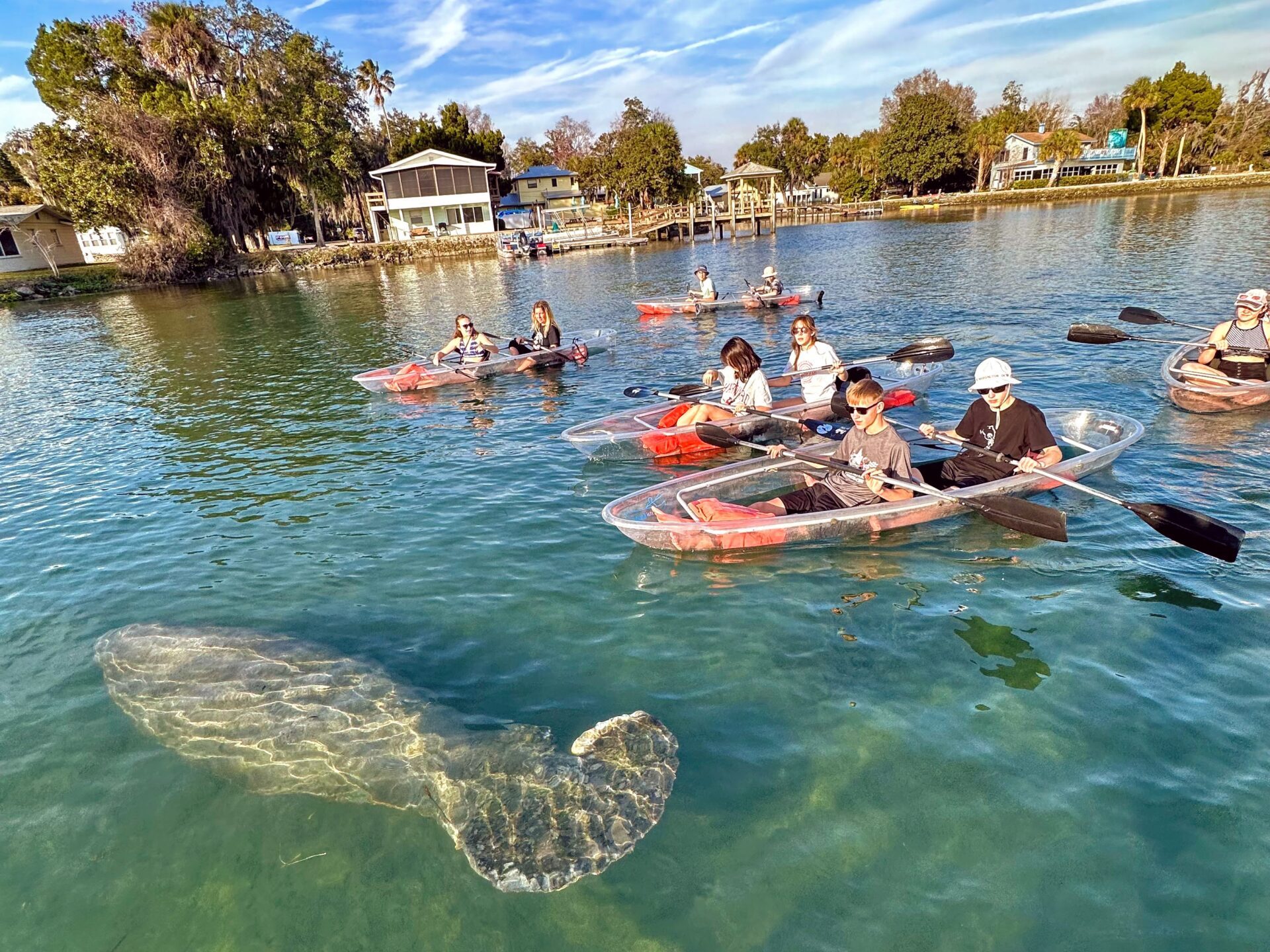 clear kayaking tours in Crystal River, Florida