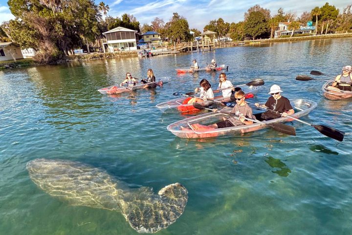 clear kayaking tours in Crystal River, Florida
