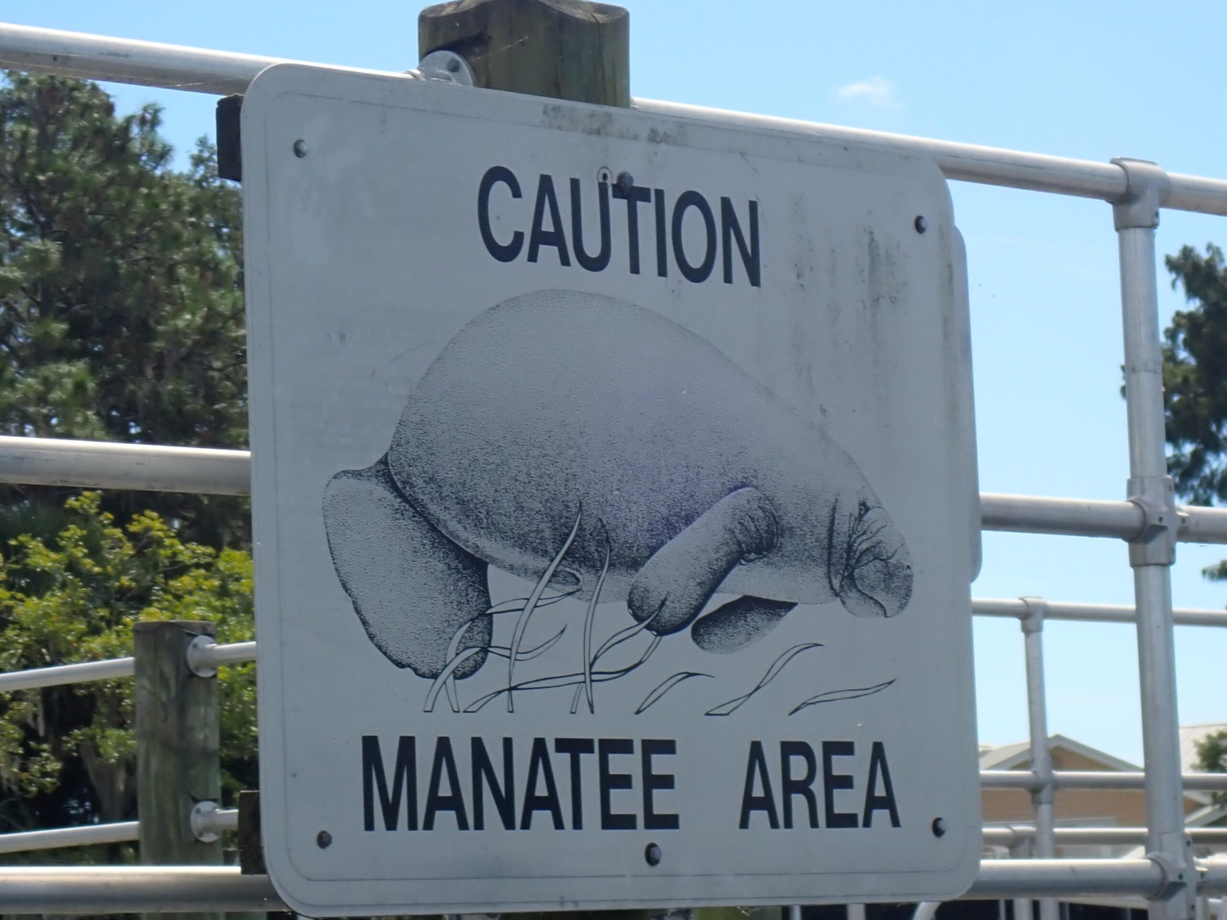 clear kayaking tours in Crystal River, Florida