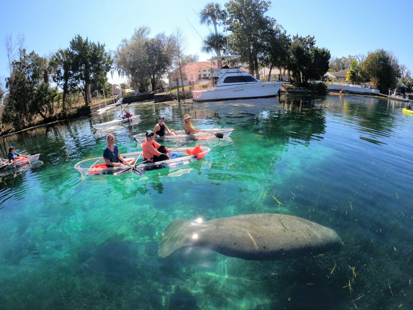a group of people swimming in a pool of water