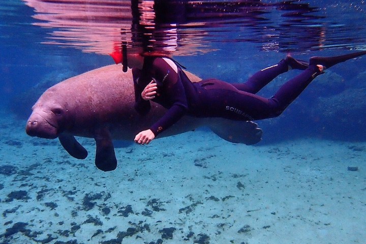 a man lying in a pool of water