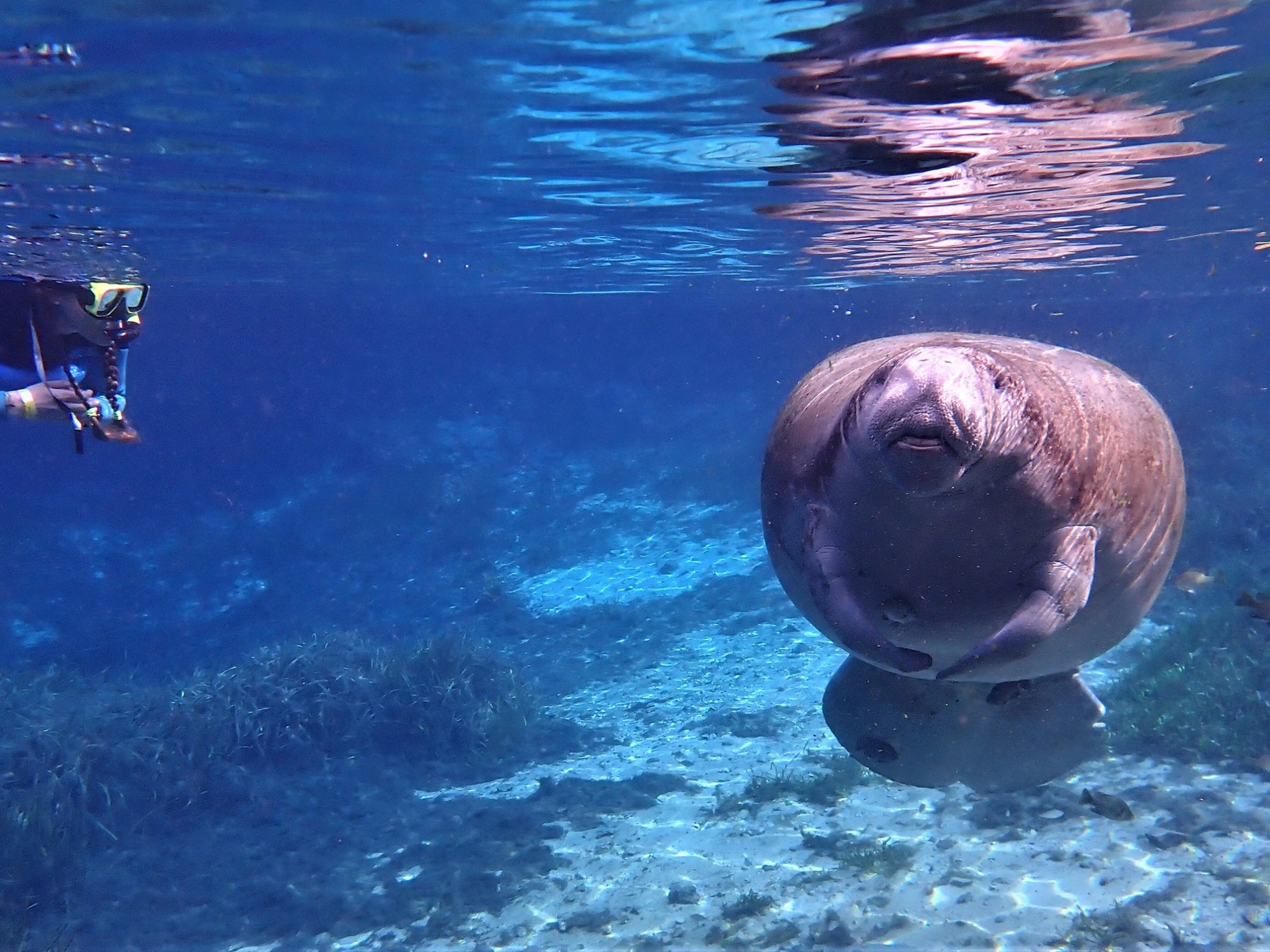 a bird swimming in water next to a body of water