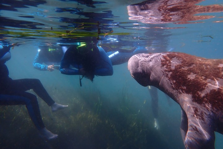 a person swimming in the water