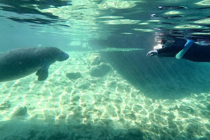 a person swimming in a pool of water