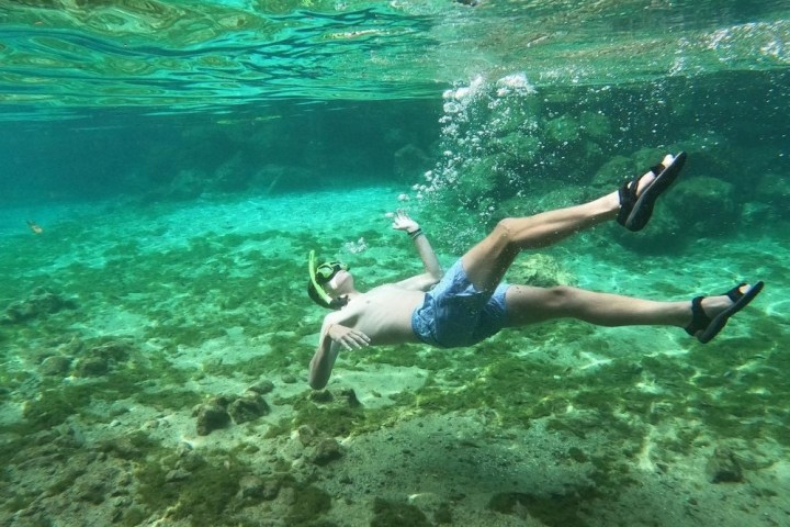 a person swimming in a body of water