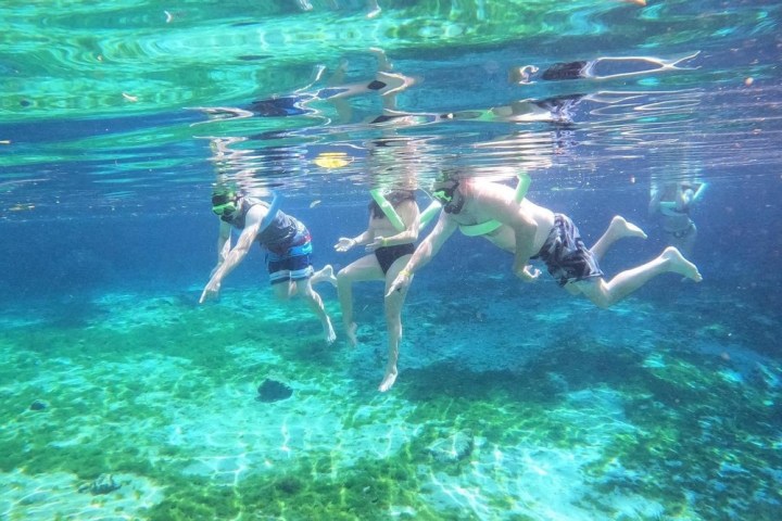 a person swimming in a pool of water
