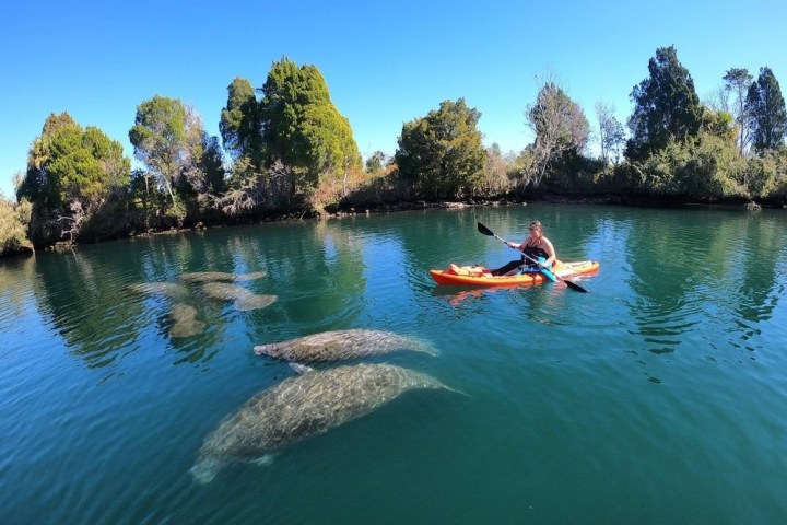 a small boat in a body of water