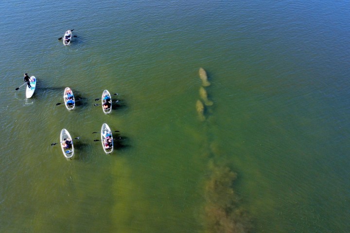 a group of people that are standing in the water