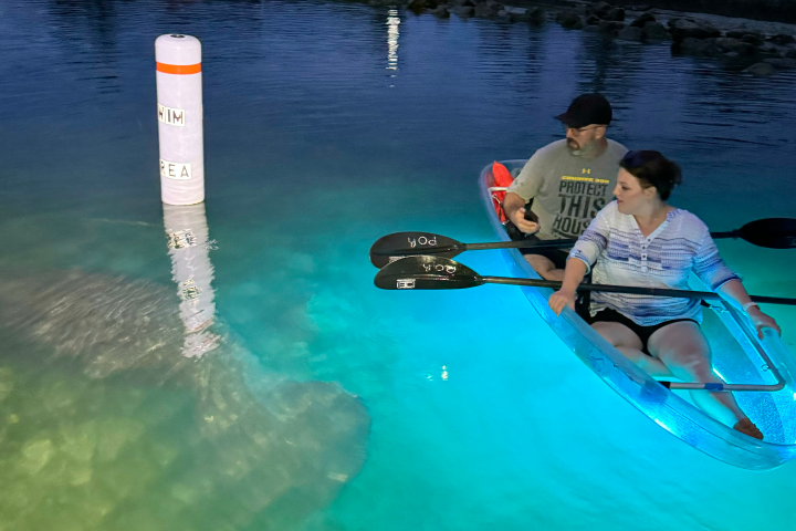 Clear kayaking night tour