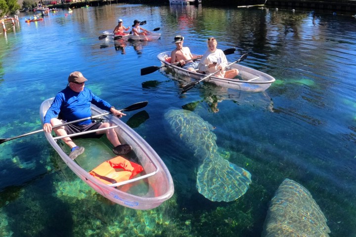 a group of people rowing a boat in the water