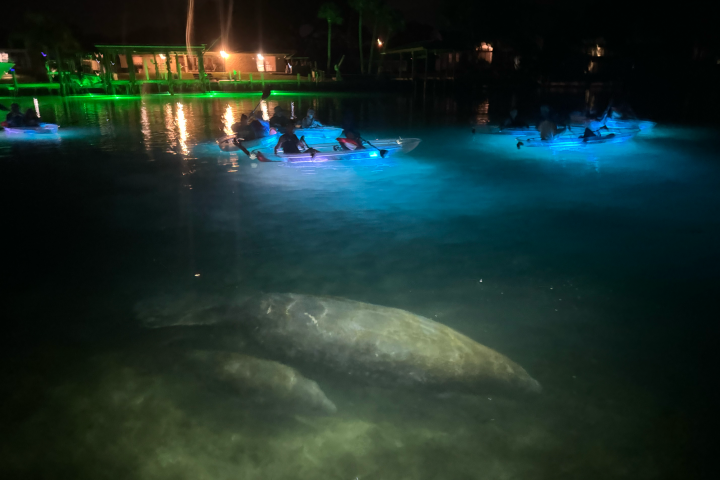 a blurry photo of a large body of water