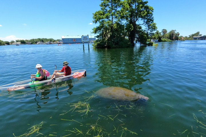 a group of people in a small boat in a body of water