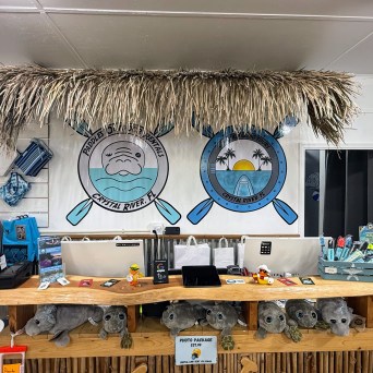 a group of items on a table