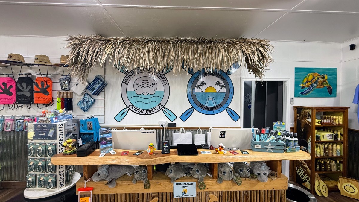 a group of items on a table