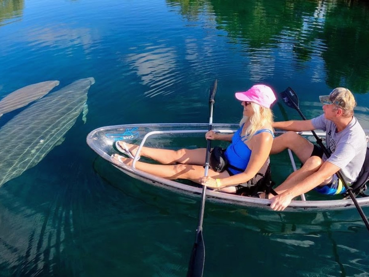 Two people kayaking in clear water with manatees visible below them.